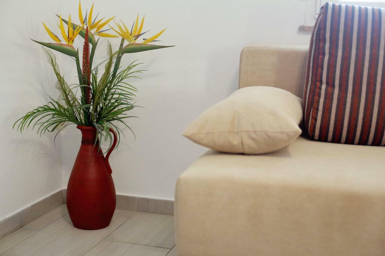 Apartment Palma Bibinje Bagian luar foto